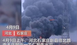 沧州爆料媒体曝光事件最新,最新曝光事件引发社会关注